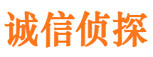 东宝寻人公司